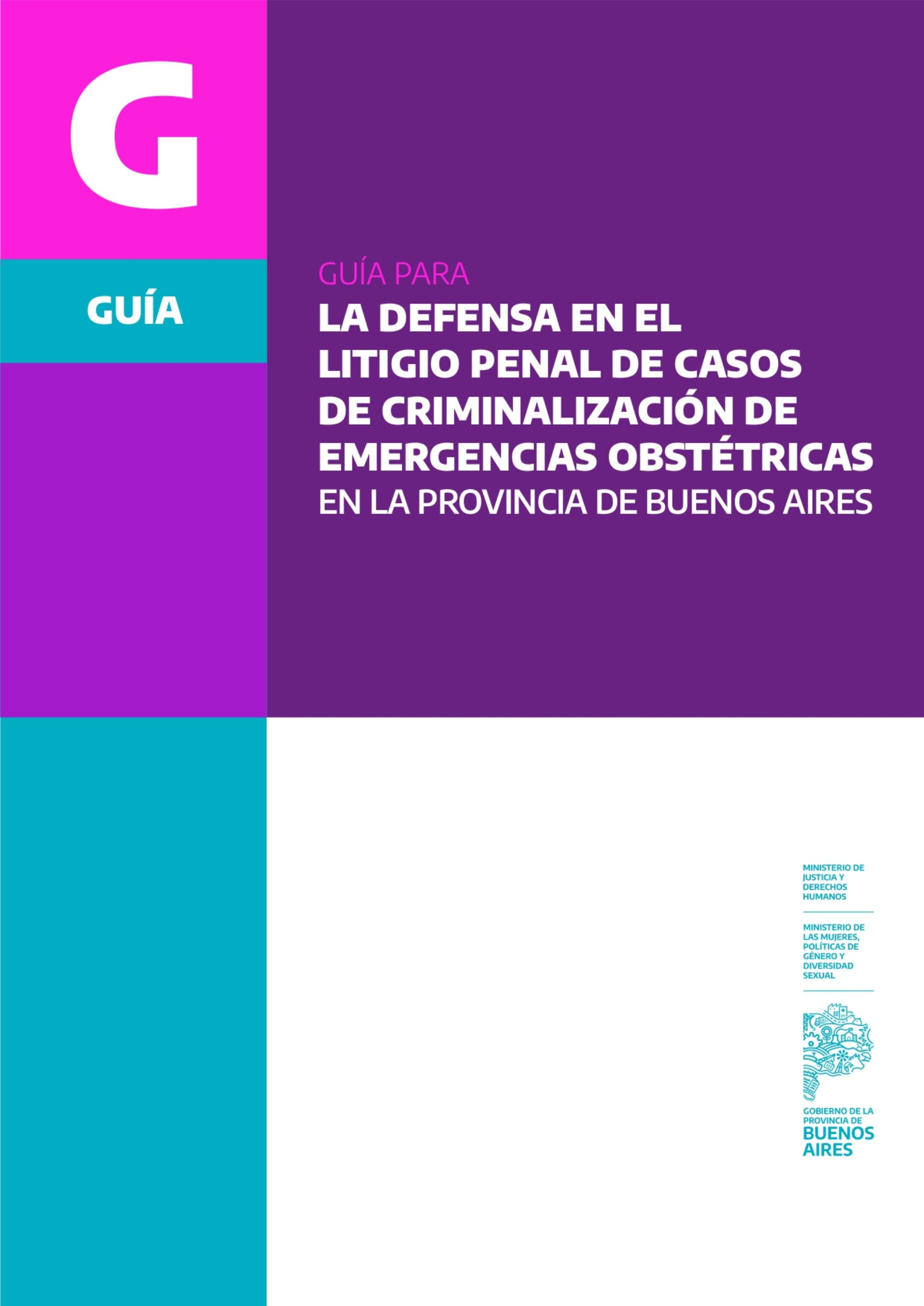 Presentación de la «Guía para la defensa en el litigio penal de casos de criminalización de emergencias obstétricas en la provincia de Buenos Aires»