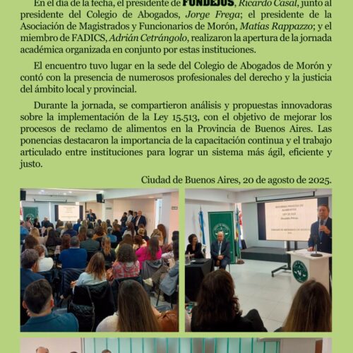 Labor Institucional en la Jornada Académica sobre la Reforma del Reclamo de Alimentos en el Ámbito Bonaerense (Ley 15.513)