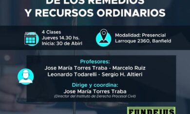 Curso teórico práctico: De los remedios y recursos ordinarios.