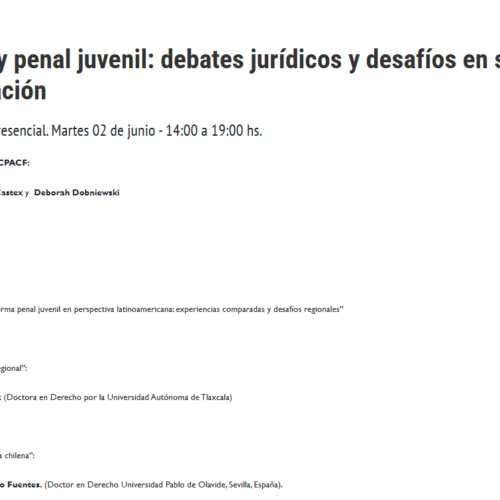 La nueva ley penal juvenil: debates jurídicos y desafíos en su Implementación