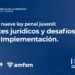La nueva ley penal juvenil: Debates jurídicos y desafíos en su Implementación.